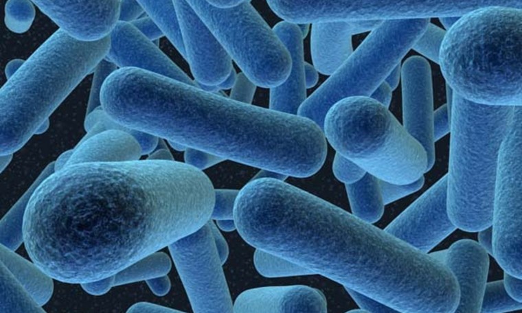 Bacteriegroeiremmers als toegevoegde waarde