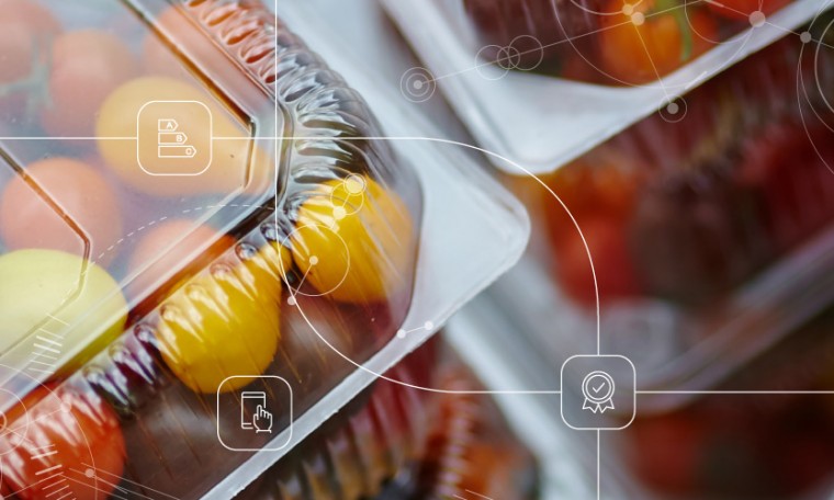 Plastic Sheet & Film (Food Packaging)